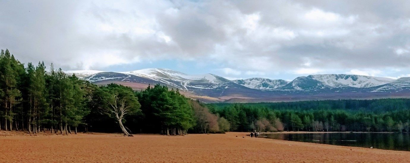 Views of Meall a'Buchaille.